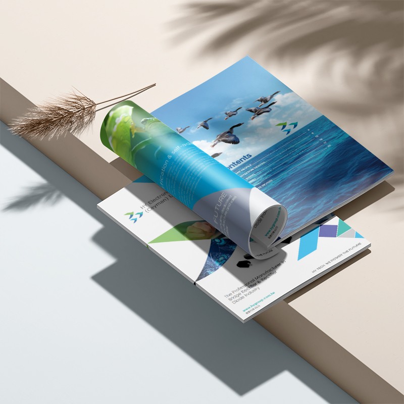 流行色的選擇如何在廣告宣傳中影響消費者的感知和購買決策?